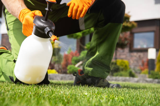 Best Best Pest Control Companies  in Greenwood, SC