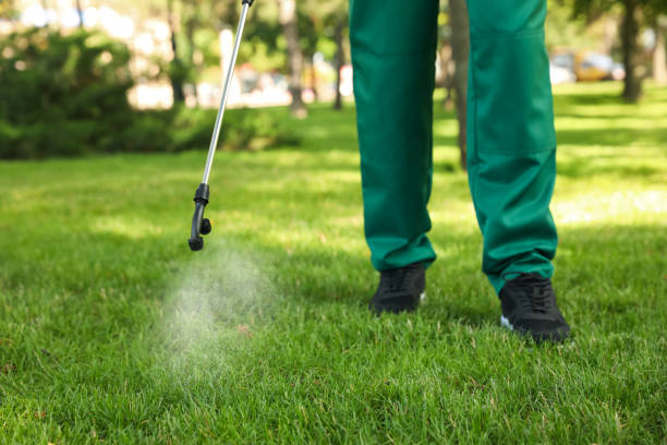Best Pest Control Near Me  in Greenwood, SC