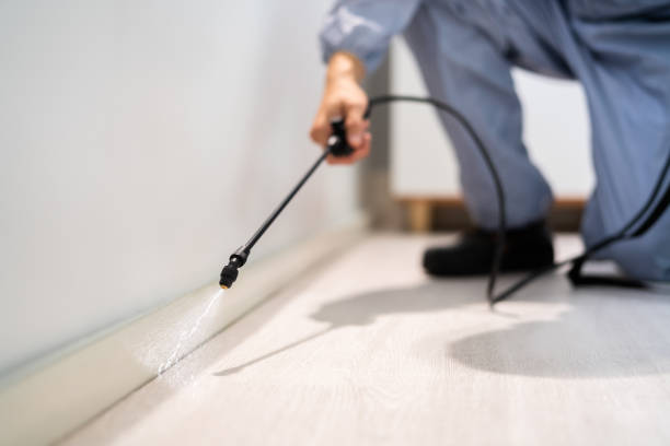 Professional Pest Control in Greenwood, SC