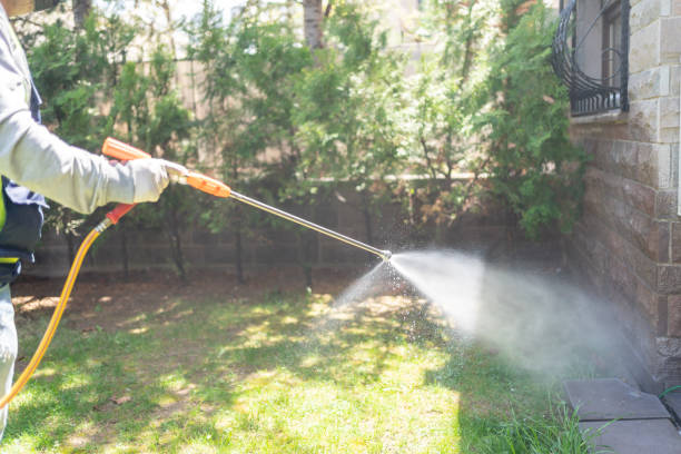 Best Residential Pest Control  in Greenwood, SC
