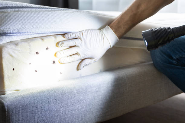 Best Emergency Pest Control  in Greenwood, SC