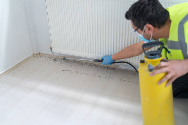 Best Affordable Pest Control Services  in Greenwood, SC