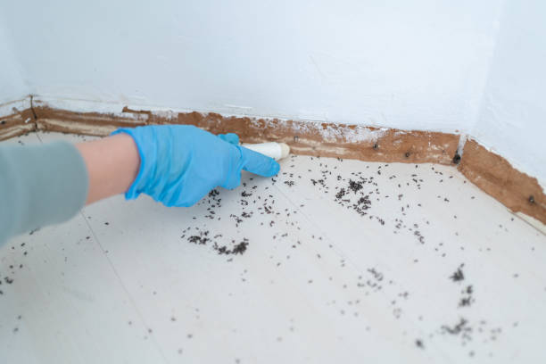 Best Cockroach Control Services  in Greenwood, SC