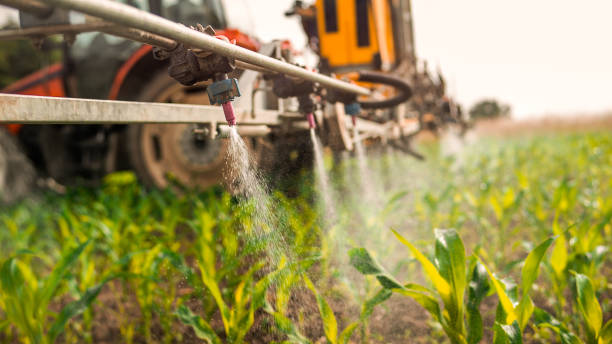 Best Ant Control Services  in Greenwood, SC