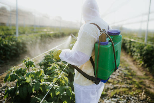 Best Wasp Removal Services  in Greenwood, SC